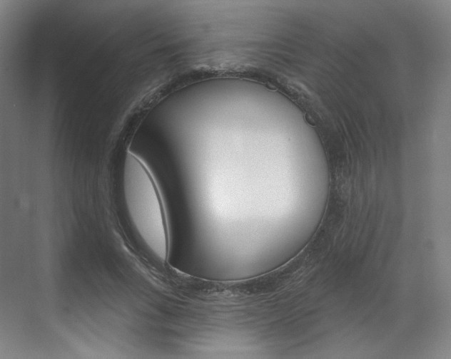X0000071800735200606301009