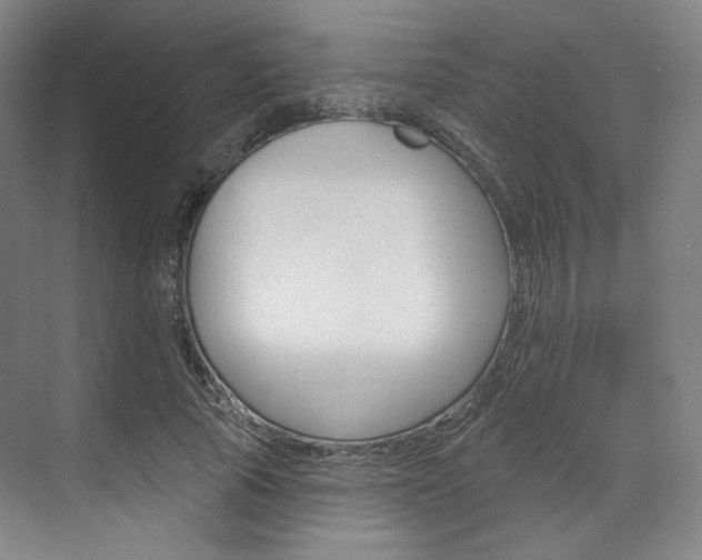 X0000071800737200606301009