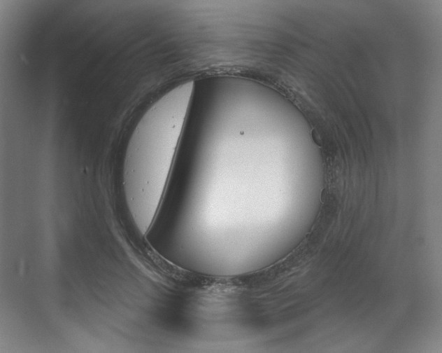 X0000071800742200606301009