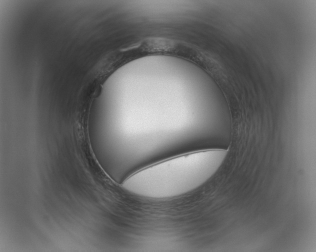 X0000071800743200606301009