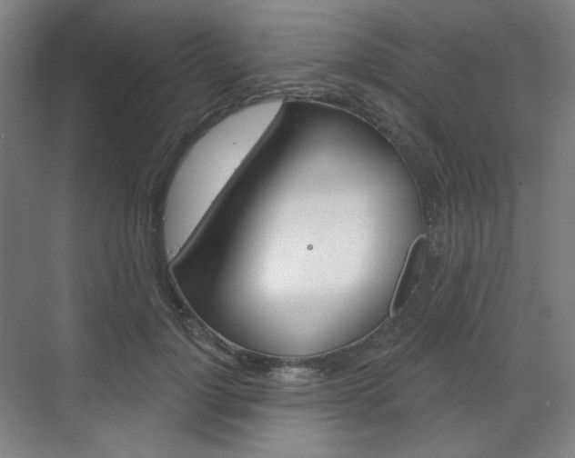 X0000071800748200606301009