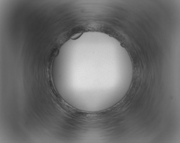 X0000071800749200606301009