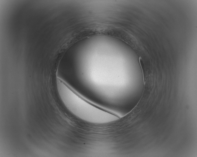X0000071800750200606301009