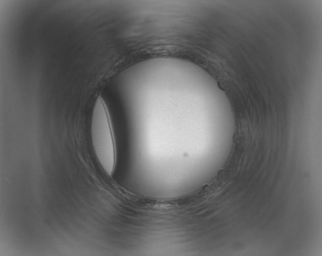 X0000071800751200606301009