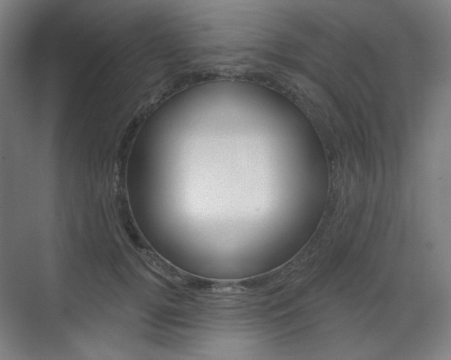 X0000071800752200606301009