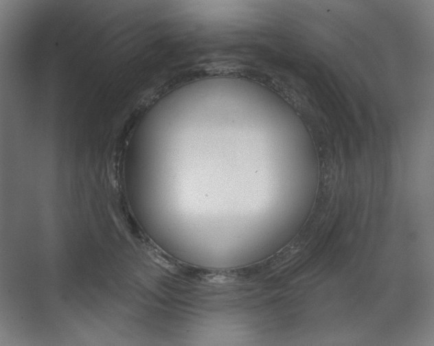 X0000071800755200606301009