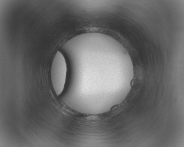 X0000071800761200606301009