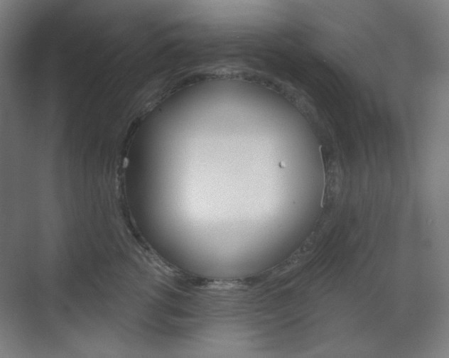 X0000071800762200606301009