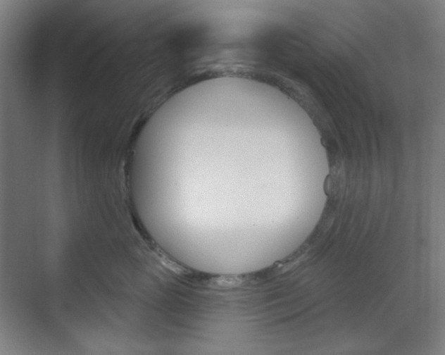 X0000071800765200606301009