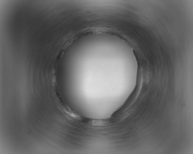 X0000071800766200606301009