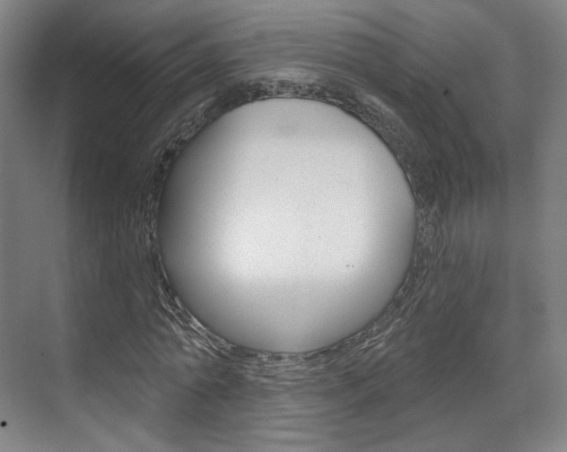 X0000071800774200606301009