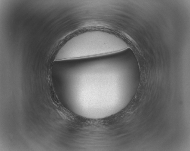 X0000071800775200606301009