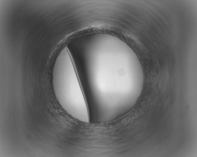 X0000071800776200606301009