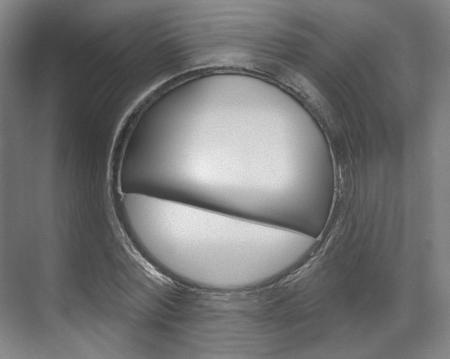 X0000071800780200606301008