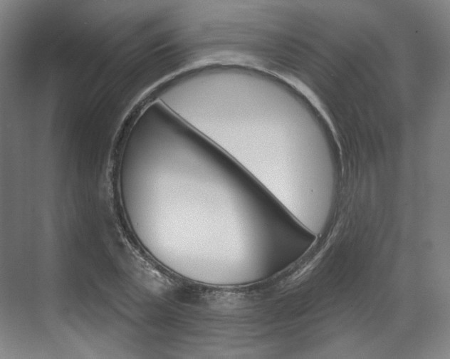 X0000071800783200606301008