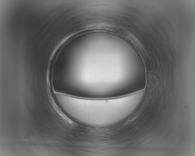 X0000071800788200606301008