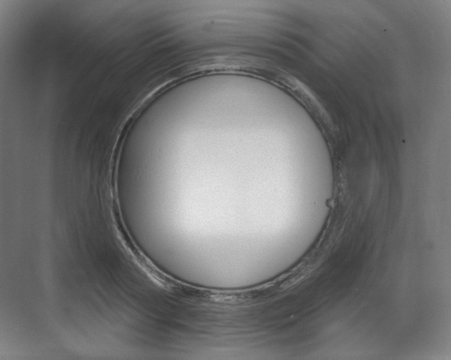 X0000071800794200606301008