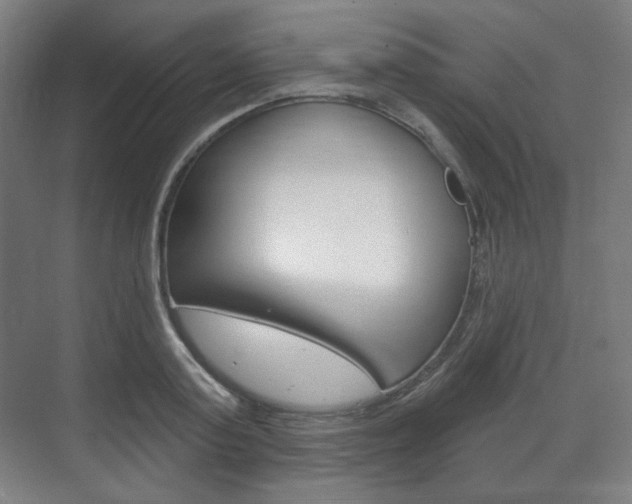 X0000071800795200606301008