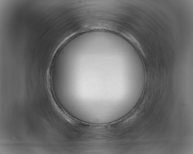 X0000071800798200606301008