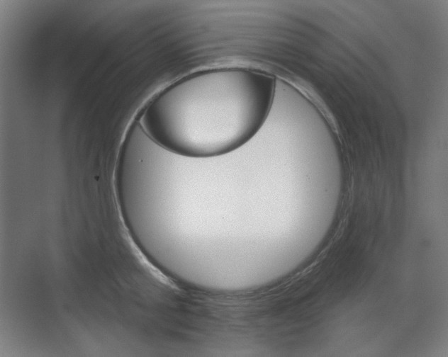 X0000071800805200606301008