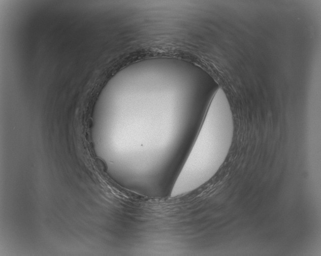 X0000071800817200606301007
