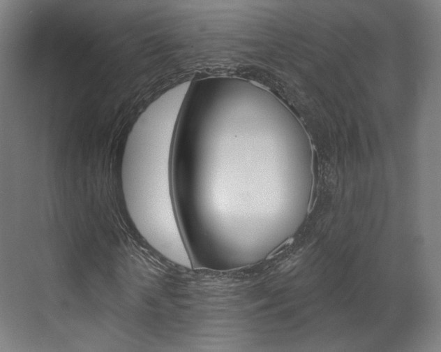 X0000071800818200606301007