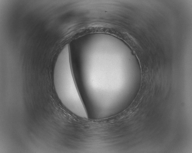 X0000071800821200606301007