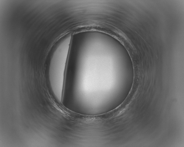 X0000071800826200606301007