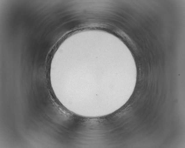 X0000071800828200606301007