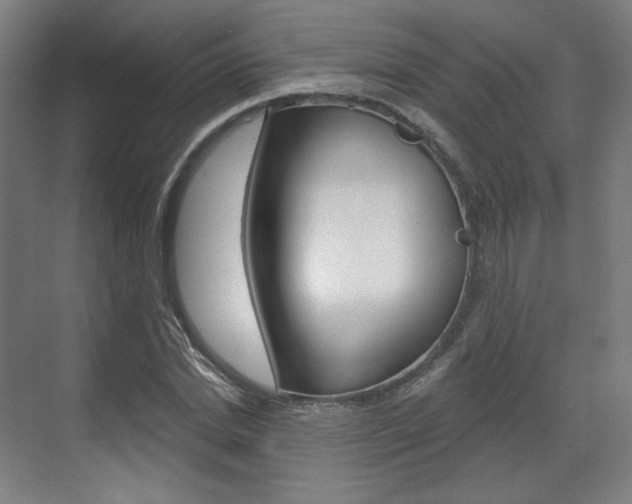 X0000071800830200606301007