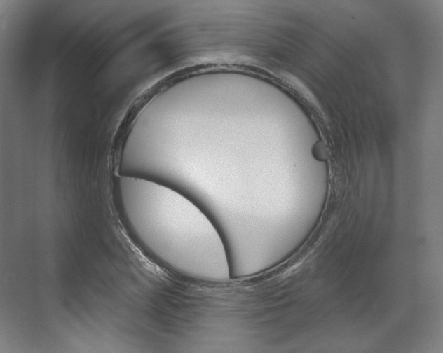 X0000071800831200606301007