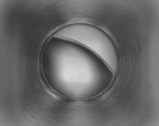 X0000071800834200606301007