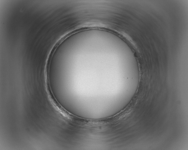X0000071800840200606301007
