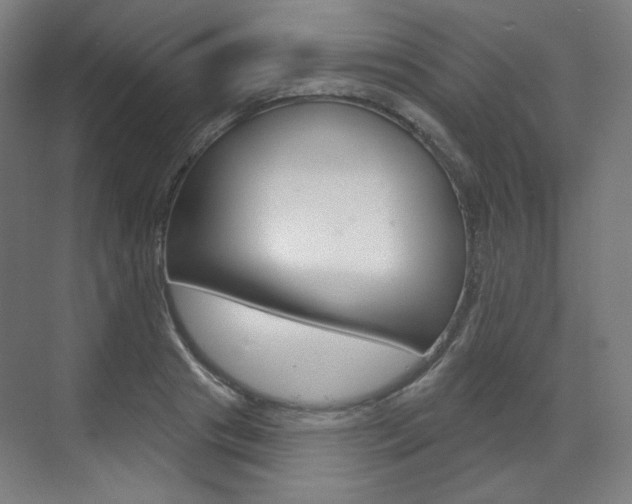 X0000071800841200606301007