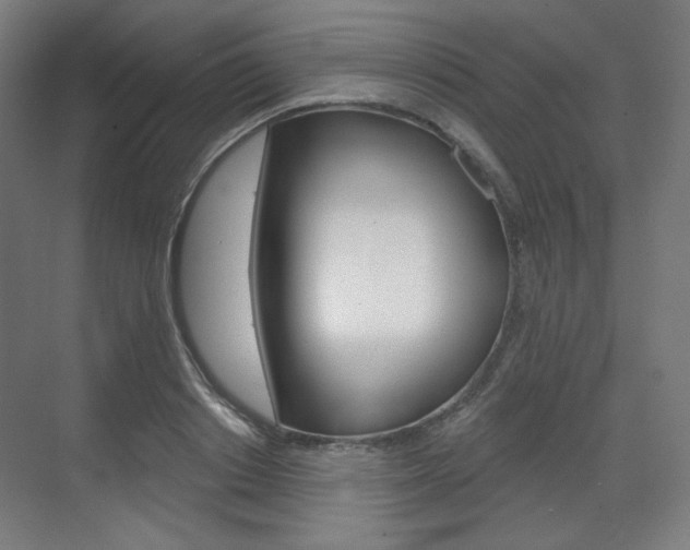 X0000071800842200606301008