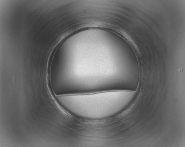X0000071800845200606301008