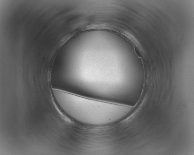 X0000071800849200606301008