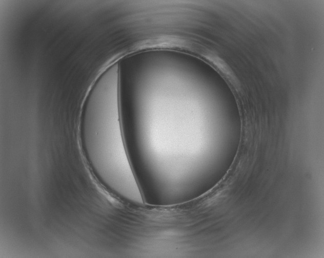 X0000071800850200606301008
