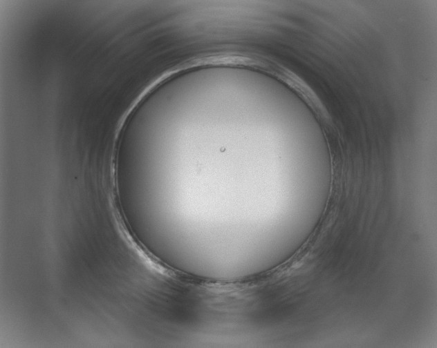 X0000071800852200606301008