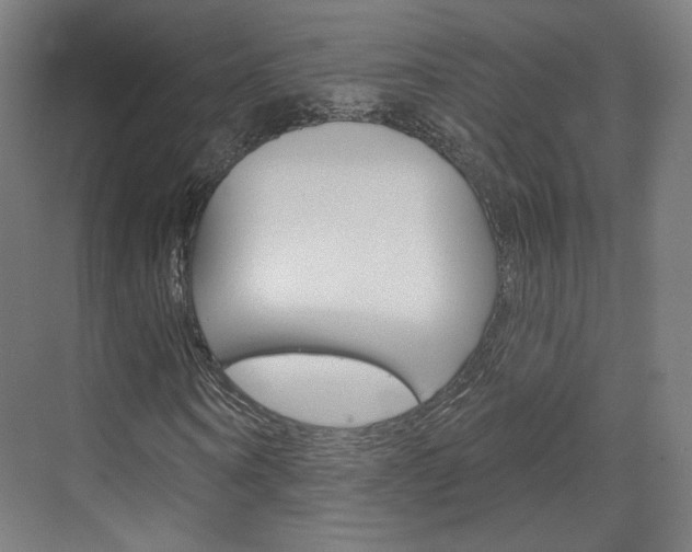 X0000071800866200606301007