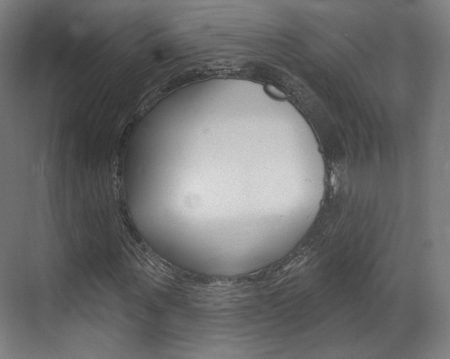 X0000071800867200606301007