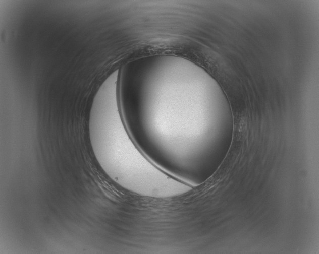 X0000071800868200606301007