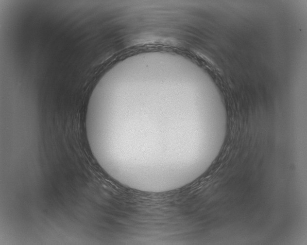 X0000071800869200606301007