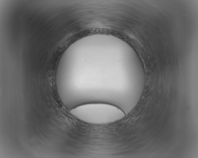 X0000071800870200606301007