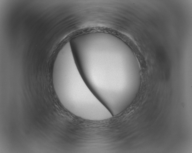 X0000071800871200606301007