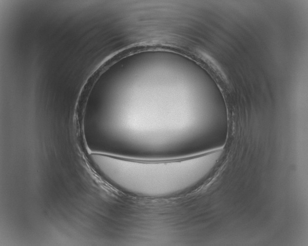 X0000071800876200606301007