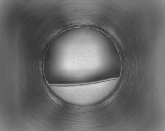 X0000071800881200606301007