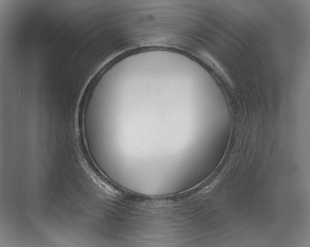 X0000071800884200606301007