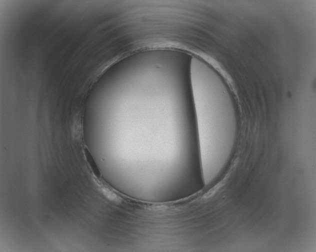 X0000071800897200606301007