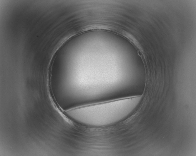 X0000071800898200606301007
